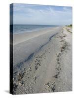Beach, Sanibel Island, Gulf Coast, Florida, United States of America, North America-Robert Harding-Stretched Canvas