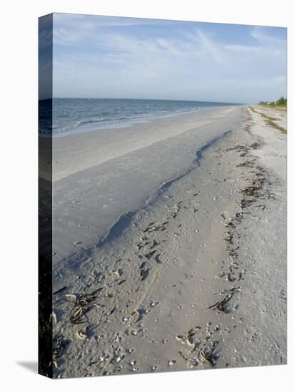 Beach, Sanibel Island, Gulf Coast, Florida, United States of America, North America-Robert Harding-Stretched Canvas