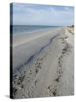 Beach, Sanibel Island, Gulf Coast, Florida, United States of America, North America-Robert Harding-Stretched Canvas