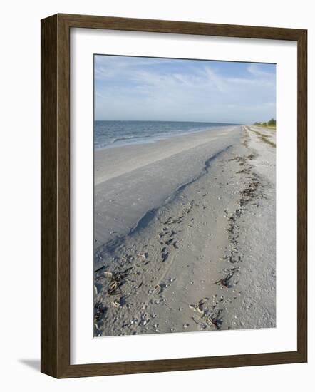 Beach, Sanibel Island, Gulf Coast, Florida, United States of America, North America-Robert Harding-Framed Photographic Print