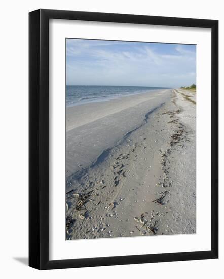 Beach, Sanibel Island, Gulf Coast, Florida, United States of America, North America-Robert Harding-Framed Photographic Print