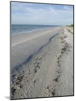 Beach, Sanibel Island, Gulf Coast, Florida, United States of America, North America-Robert Harding-Mounted Photographic Print