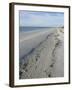 Beach, Sanibel Island, Gulf Coast, Florida, United States of America, North America-Robert Harding-Framed Photographic Print