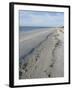 Beach, Sanibel Island, Gulf Coast, Florida, United States of America, North America-Robert Harding-Framed Photographic Print