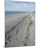 Beach, Sanibel Island, Gulf Coast, Florida, United States of America, North America-Robert Harding-Mounted Photographic Print