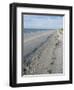 Beach, Sanibel Island, Gulf Coast, Florida, United States of America, North America-Robert Harding-Framed Photographic Print