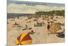 Beach, Sarasota, Florida-null-Mounted Premium Giclee Print