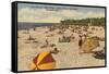 Beach, Sarasota, Florida-null-Framed Stretched Canvas