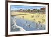 Beach, Savannah, Georgia-null-Framed Premium Giclee Print