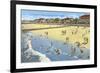 Beach, Savannah, Georgia-null-Framed Premium Giclee Print