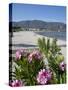 Beach Scene, Alykanas, Zakynthos, Ionian Islands, Greek Islands, Greece, Europe-Frank Fell-Stretched Canvas