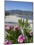 Beach Scene, Alykanas, Zakynthos, Ionian Islands, Greek Islands, Greece, Europe-Frank Fell-Mounted Photographic Print