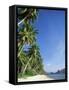 Beach Scene at El Nido, Bascuit Bay, Palawan, Philippines-Steve Vidler-Framed Stretched Canvas