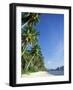 Beach Scene at El Nido, Bascuit Bay, Palawan, Philippines-Steve Vidler-Framed Photographic Print