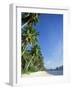 Beach Scene at El Nido, Bascuit Bay, Palawan, Philippines-Steve Vidler-Framed Photographic Print