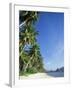 Beach Scene at El Nido, Bascuit Bay, Palawan, Philippines-Steve Vidler-Framed Photographic Print