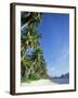 Beach Scene at El Nido, Bascuit Bay, Palawan, Philippines-Steve Vidler-Framed Photographic Print