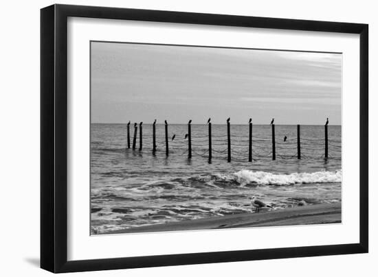 Beach Scene at Outer Banks-Martina Bleichner-Framed Art Print