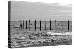 Beach Scene at Outer Banks-Martina Bleichner-Stretched Canvas
