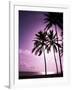 Beach Scene at Sunset-Bill Bachmann-Framed Photographic Print