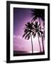 Beach Scene at Sunset-Bill Bachmann-Framed Photographic Print