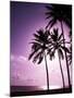 Beach Scene at Sunset-Bill Bachmann-Mounted Photographic Print