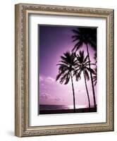 Beach Scene at Sunset-Bill Bachmann-Framed Photographic Print