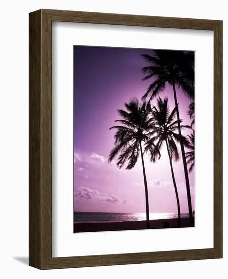 Beach Scene at Sunset-Bill Bachmann-Framed Photographic Print