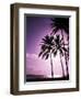 Beach Scene at Sunset-Bill Bachmann-Framed Photographic Print