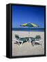 Beach Scene, Corralejo, Fuerteventura, Canary Islands, Spain, Atlantic, Europe-Stuart Black-Framed Stretched Canvas