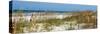 Beach Scene - Florida - United States-Philippe Hugonnard-Stretched Canvas