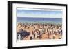 Beach Scene, Galveston, Texas-null-Framed Art Print