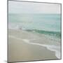 Beach Scene I-Susan Bryant-Mounted Premium Photographic Print