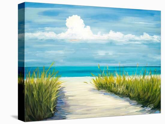 Beach Scene I-Julie DeRice-Stretched Canvas