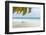 Beach Scene in the Maldives-John Harper-Framed Photographic Print