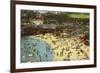 Beach Scene, La Jolla Cove, California-null-Framed Premium Giclee Print