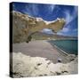 Beach Scene, Near San Jose, Cabo de Gata, Costa de Almeria, Andalucia, Spain, Europe-Stuart Black-Stretched Canvas