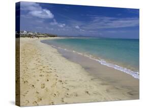 Beach Scene, Playa De Sotavento De Jandia, Fuerteventura, Canary Islands, Spain, Atlantic, Europe-Stuart Black-Stretched Canvas