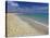 Beach Scene, Playa De Sotavento De Jandia, Fuerteventura, Canary Islands, Spain, Atlantic, Europe-Stuart Black-Stretched Canvas