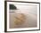 Beach Scene, Samed Island, Rayong, Thailand-Gavriel Jecan-Framed Photographic Print