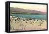 Beach Scene, Santa Barbara, California-null-Framed Stretched Canvas