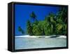 Beach Scene the Maldives-null-Framed Stretched Canvas