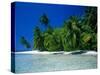 Beach Scene the Maldives-null-Stretched Canvas