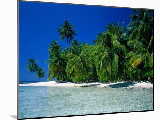 Beach Scene the Maldives-null-Mounted Photographic Print