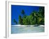 Beach Scene the Maldives-null-Framed Photographic Print