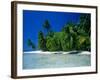 Beach Scene the Maldives-null-Framed Photographic Print