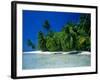 Beach Scene the Maldives-null-Framed Photographic Print