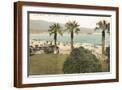 Brown Frame