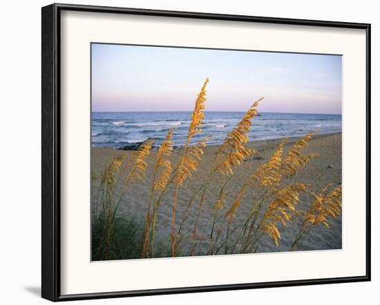Beach Scene with Sea Oats-Steve Winter-Framed Photographic Print