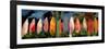 Beach Scene with Wall of Surf Boards, Hawaii II-Markus Bleichner-Framed Art Print